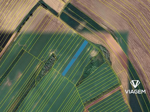 Prodej podílu pole, Šardice, 1454 m2