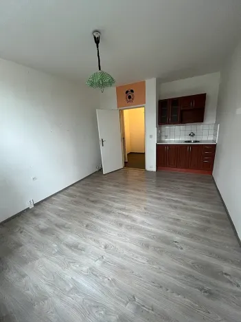 Pronájem bytu 1+kk, Brno, Halasovo náměstí, 24 m2