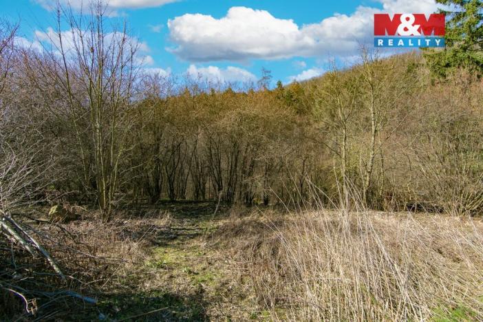 Prodej pozemku, Jílové u Prahy - Luka pod Medníkem, 1161 m2