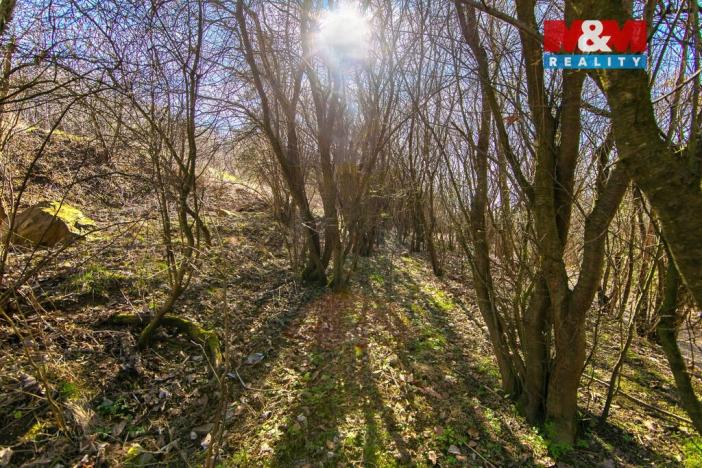 Prodej pozemku, Jílové u Prahy - Luka pod Medníkem, 1161 m2