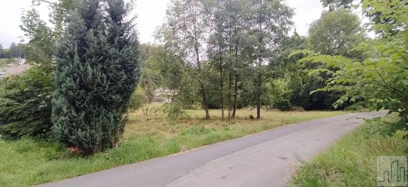 Prodej pozemku pro bydlení, Hanušovice, 3222 m2