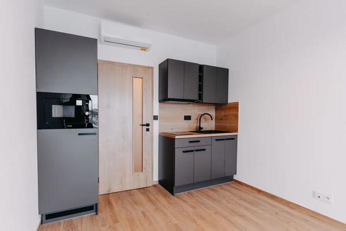 Pronájem bytu 1+kk, Brno, Čechyňská, 28 m2