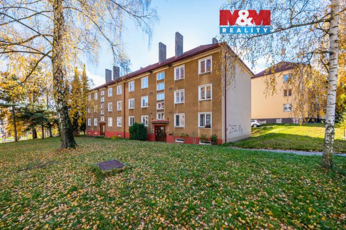 Prodej bytu 2+1, Příbram - Příbram VII, Politických vězňů, 54 m2