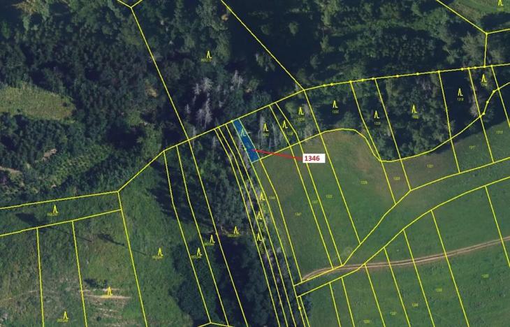 Dražba lesa, Spešov, 135 m2