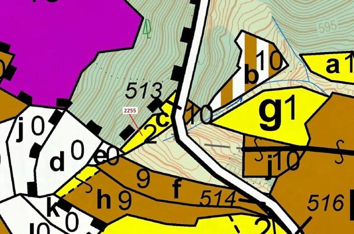 Dražba lesa, Valašská Senice, 917 m2