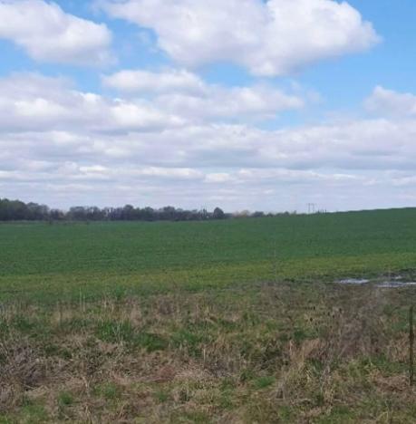 Dražba zahrady, Plzeň, 7558 m2