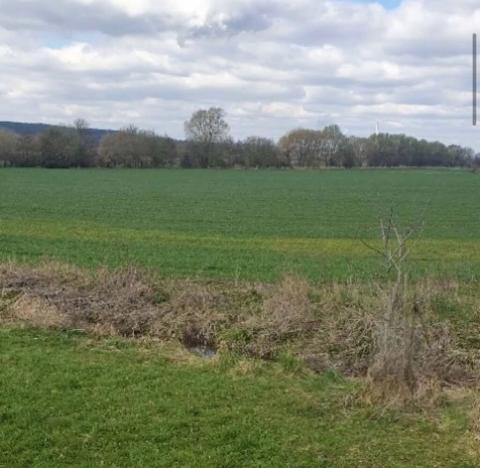 Dražba zahrady, Plzeň, 7558 m2