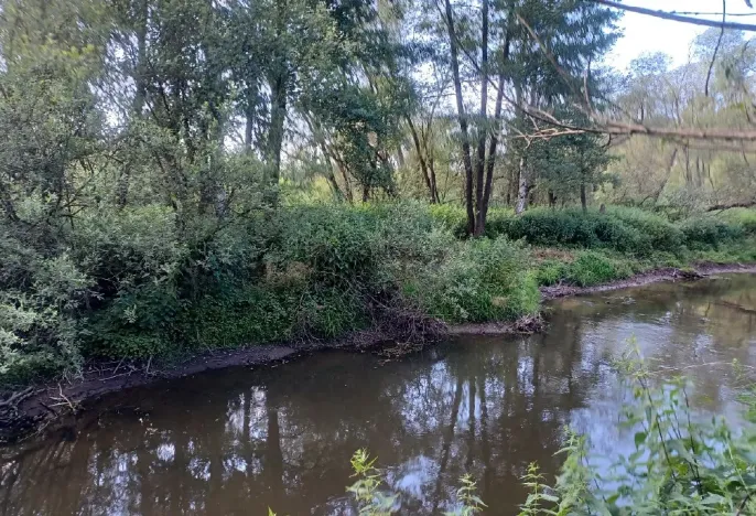 Dražba pozemku, Mimoň, 11189 m2