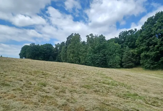 Dražba pozemku, Zahrádky, 992 m2