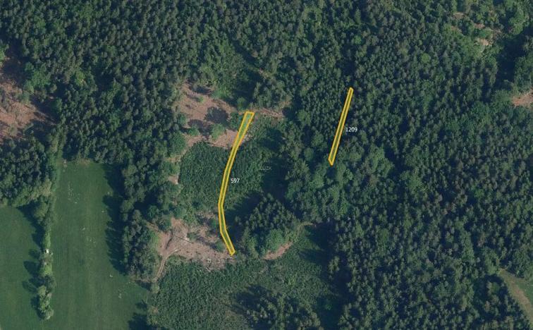 Prodej pole, Železný Brod, 59010 m2