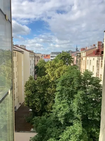 Pronájem bytu 2+1, Praha - Nové Město, Rumunská, 63 m2