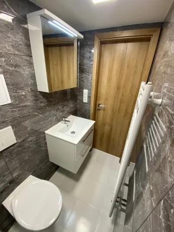 Pronájem bytu 1+kk, Zlín, Štefánikova, 30 m2