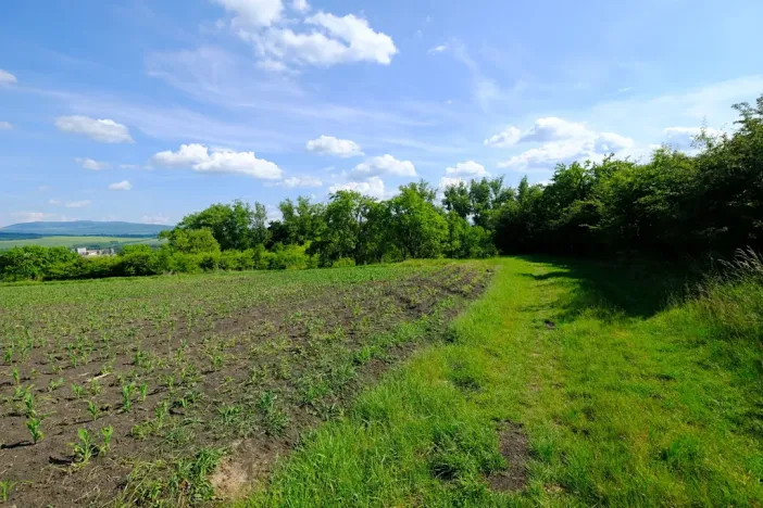 Prodej zahrady, Uherský Brod, 2032 m2