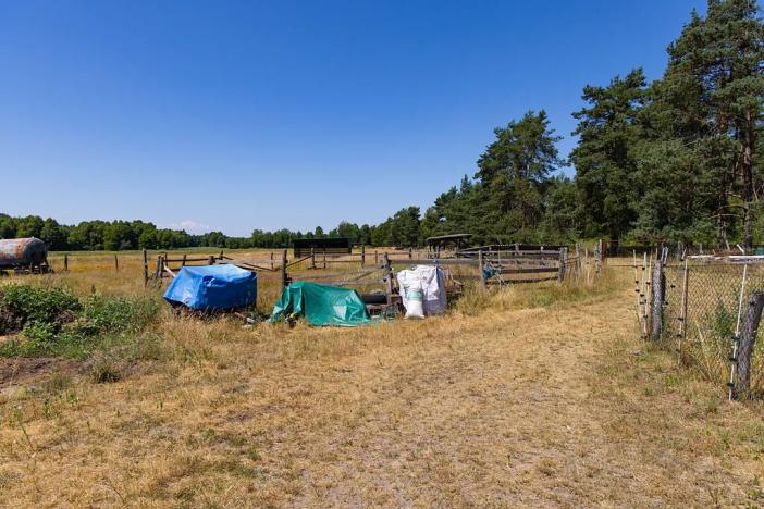 Prodej louky, Doksy, 46765 m2