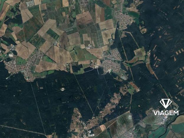 Prodej podílu lesa, Ratíškovice, 607 m2