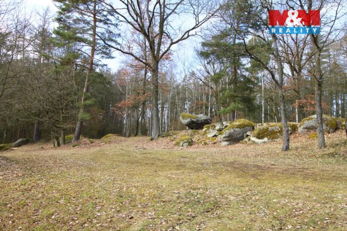 Prodej lesa, Petrovice - Žemličkova Lhota, 3719 m2