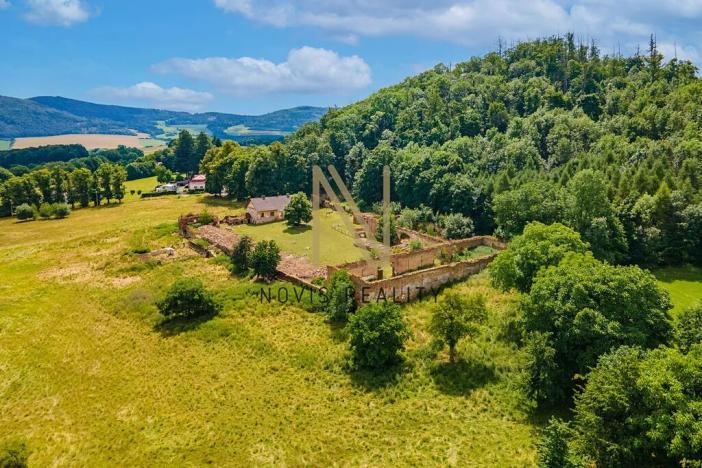 Prodej pozemku pro bydlení, Poleň, 6333 m2