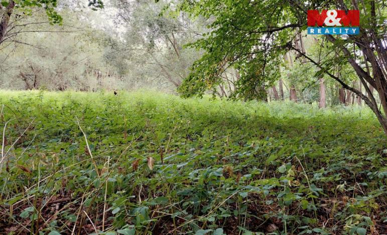 Prodej louky, Bystřice, 682 m2