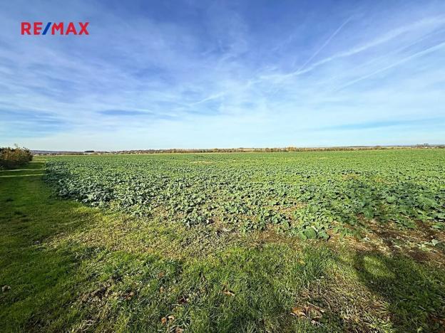 Prodej pozemku pro bydlení, Chrast, Dukelská, 4084 m2