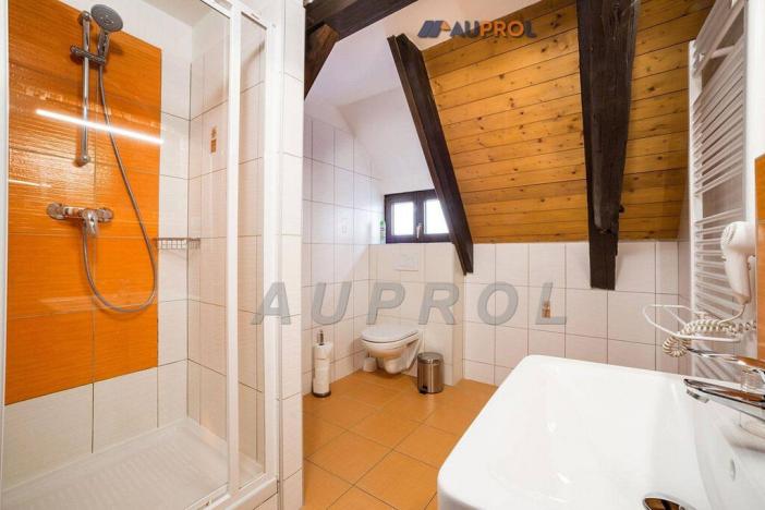 Prodej ubytování, Český Krumlov - Vnitřní Město, Široká, 400 m2