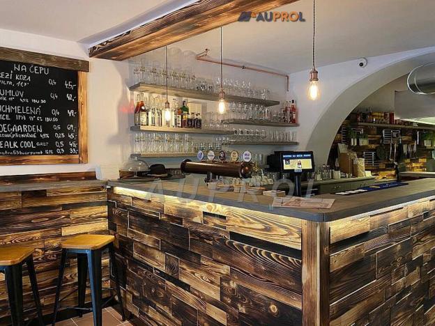 Prodej ubytování, Český Krumlov - Vnitřní Město, Široká, 400 m2