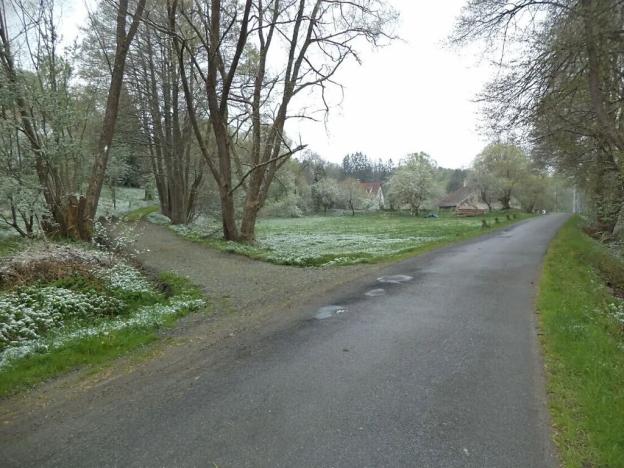 Dražba pozemku pro bydlení, Benešov nad Černou, 2520 m2