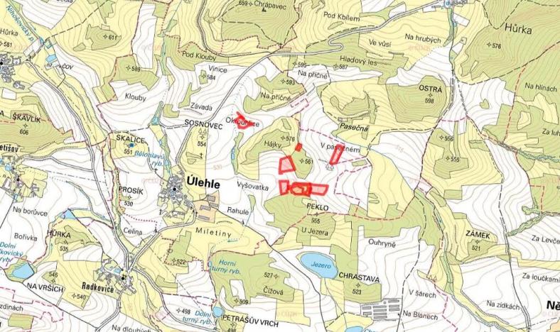 Prodej louky, Úlehle, 45705 m2