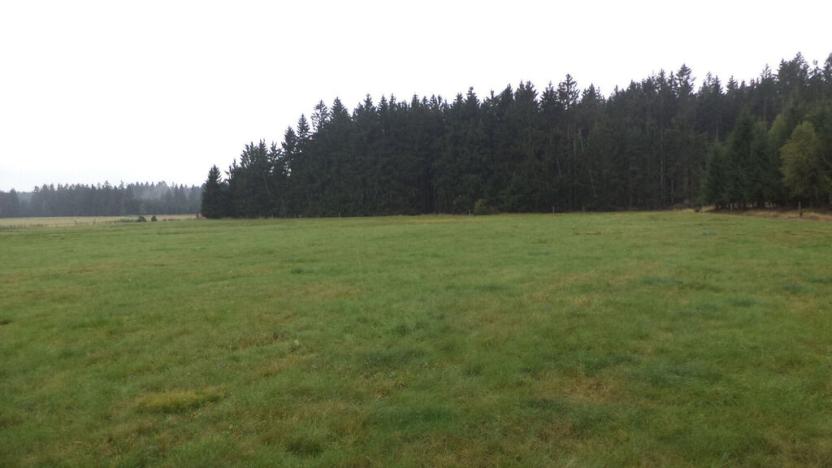 Prodej pozemku, Nová Bystřice, 2593 m2