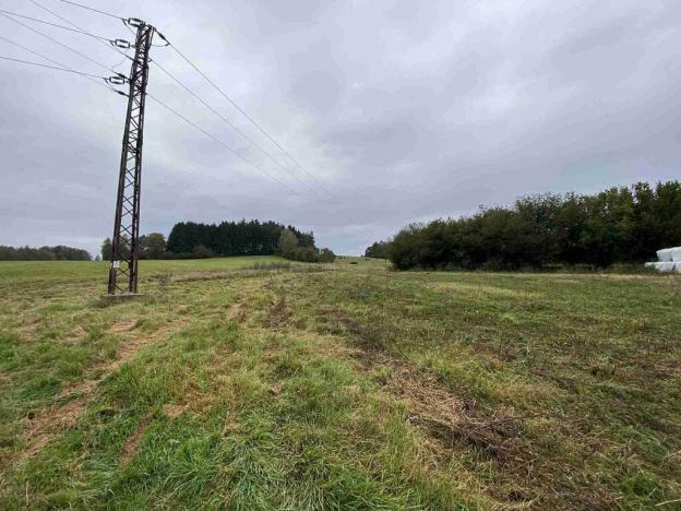 Prodej pozemku, Nová Bystřice - Senotín, 11798 m2