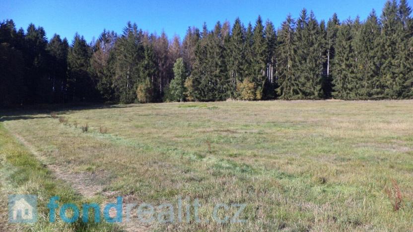 Prodej pozemku, Studená, 4992 m2