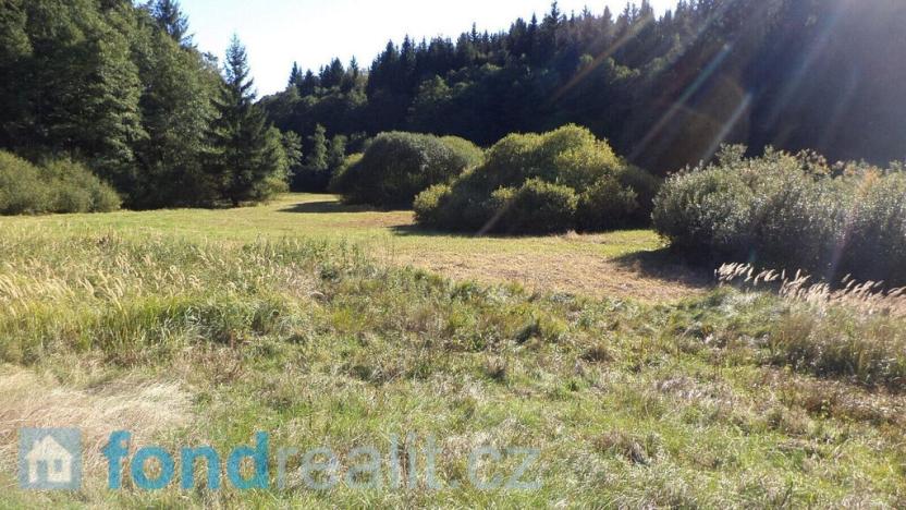 Prodej pozemku, Studená, 4992 m2