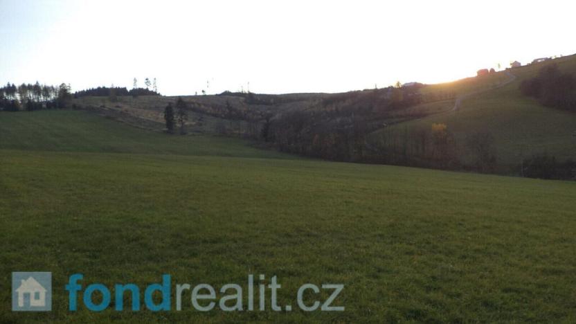 Prodej pozemku, Loučka, 7350 m2