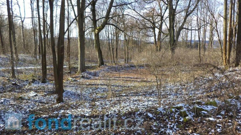 Prodej pozemku, Staré Město pod Landštejnem, 3575 m2