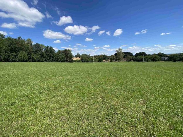 Prodej pozemku, Boňkov, 7010 m2