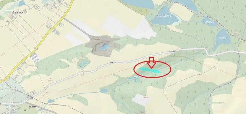 Prodej lesa, Nové Hrady, 5524 m2