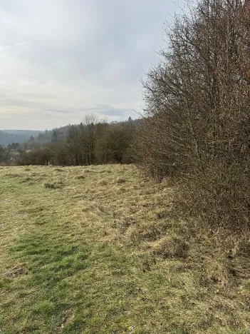 Prodej pozemku, Sloup, 3678 m2