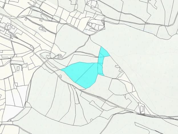 Prodej lesa, Kozárovice, 40085 m2