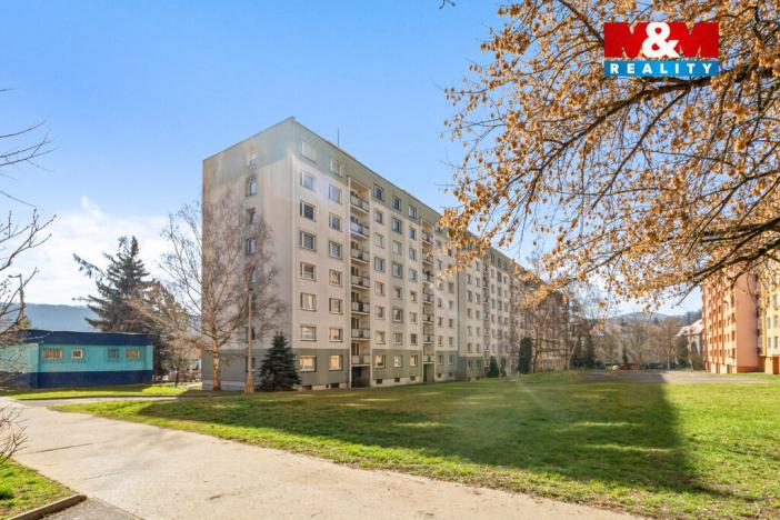 Prodej bytu 3+1, Ústí nad Labem - Neštěmice, Seifertova, 81 m2