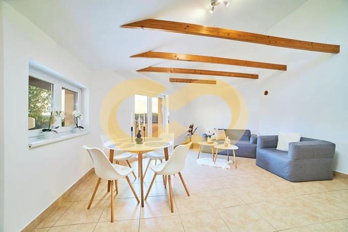 Prodej atypického bytu, Planá nad Lužnicí, Harrachova, 150 m2