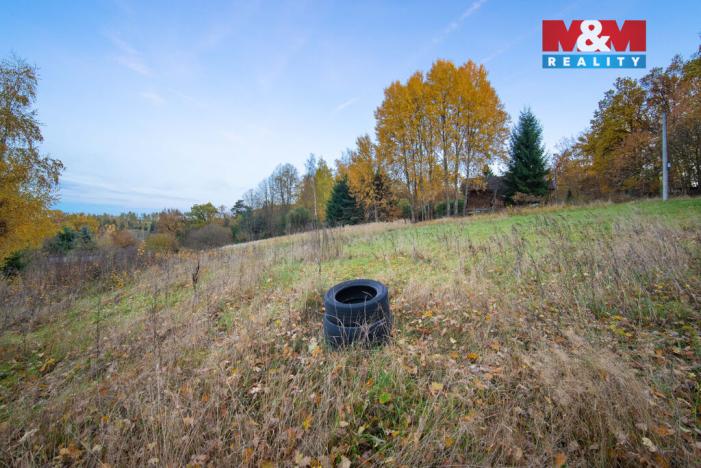 Prodej pozemku pro bydlení, Vlašim - Nesperská Lhota, 2010 m2