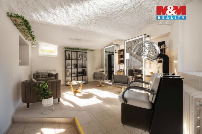 Prodej obchodního prostoru, Liberec - Liberec IV-Perštýn, Na Perštýně, 53 m2