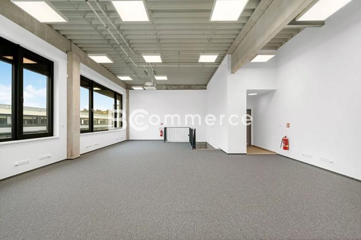 Pronájem výrobních prostor, Brno, Vinohradská, 446 m2