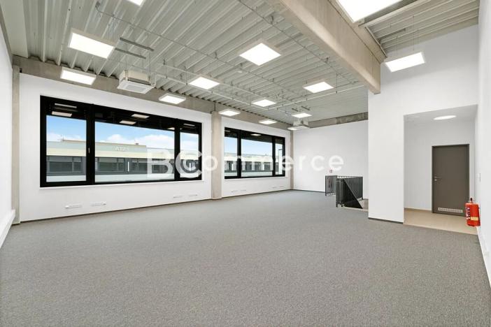 Pronájem výrobních prostor, Brno, Vinohradská, 446 m2