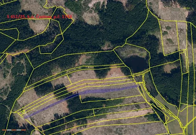 Prodej lesa, Častrov, 5341 m2