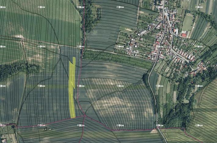 Prodej pole, Osvětimany, 8073 m2