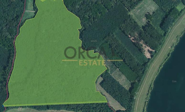 Prodej lesa, Kostelany nad Moravou, 58008 m2
