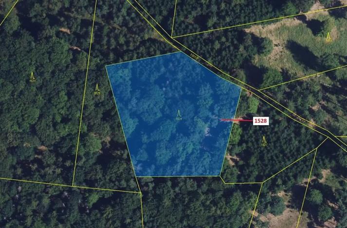 Dražba lesa, Vranová Lhota, 5323 m2