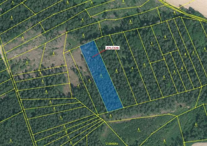 Dražba lesa, Milavče, 3695 m2