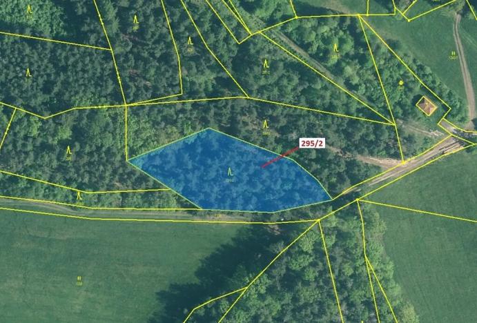 Dražba lesa, Kuřimany, 3255 m2