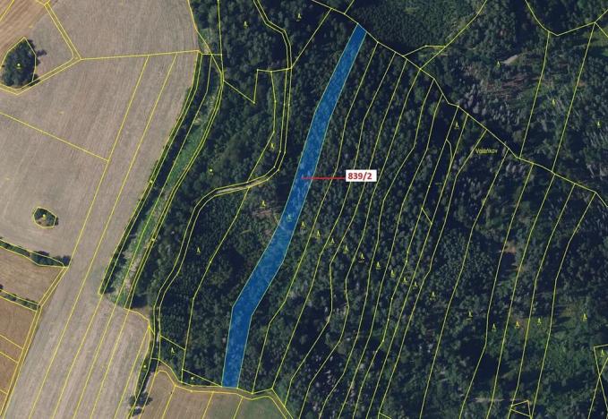 Dražba lesa, Žďárec, 5465 m2